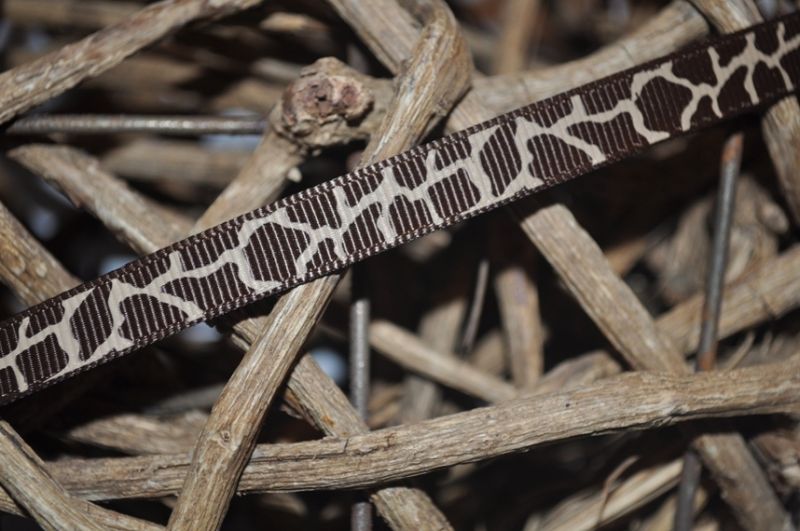 Ripsband *leo* hellbraun/dunkelbraun schmal 1cm