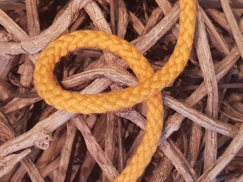 Baumwoll Kordel 8mm sonnengelb