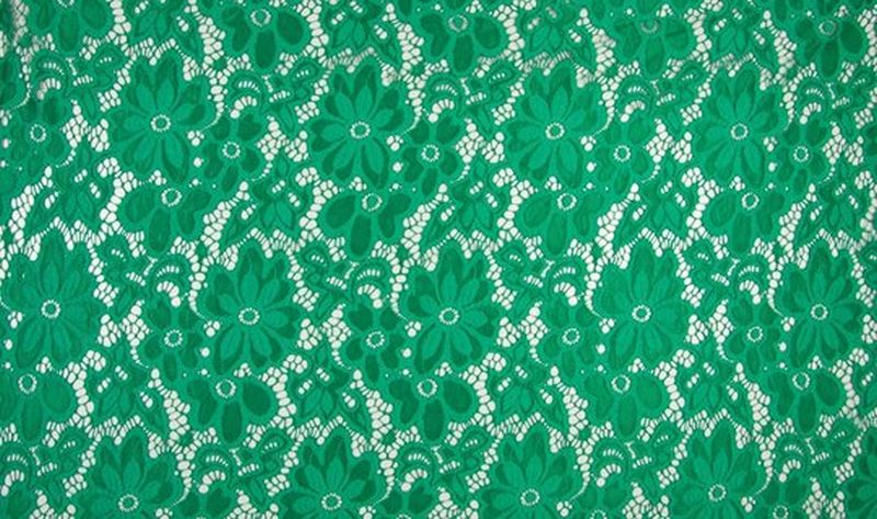 Spitzenstoff Eva Grün 24