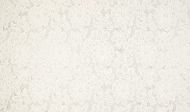 Spitzenstoff Eva Ecru 51