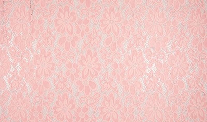 Spitzenstoff Eva Lachs 133