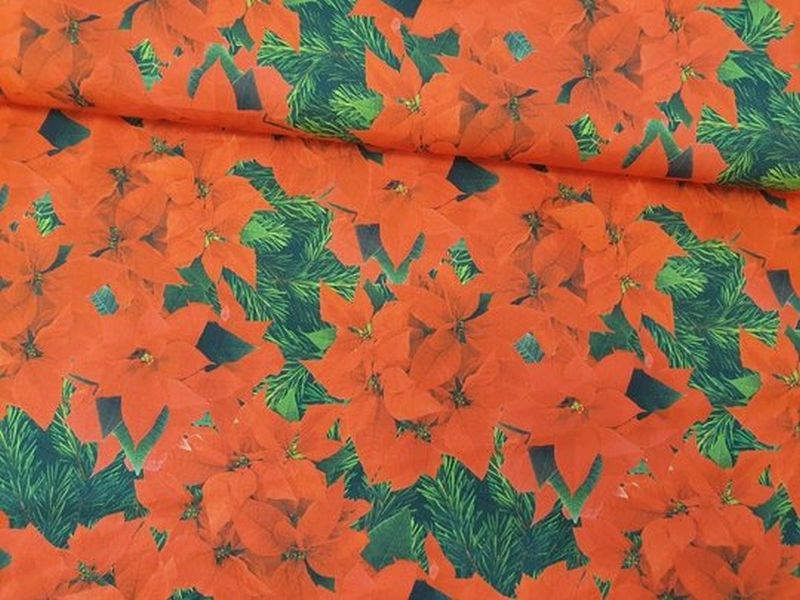 Baumwolle Weihnachtsterne