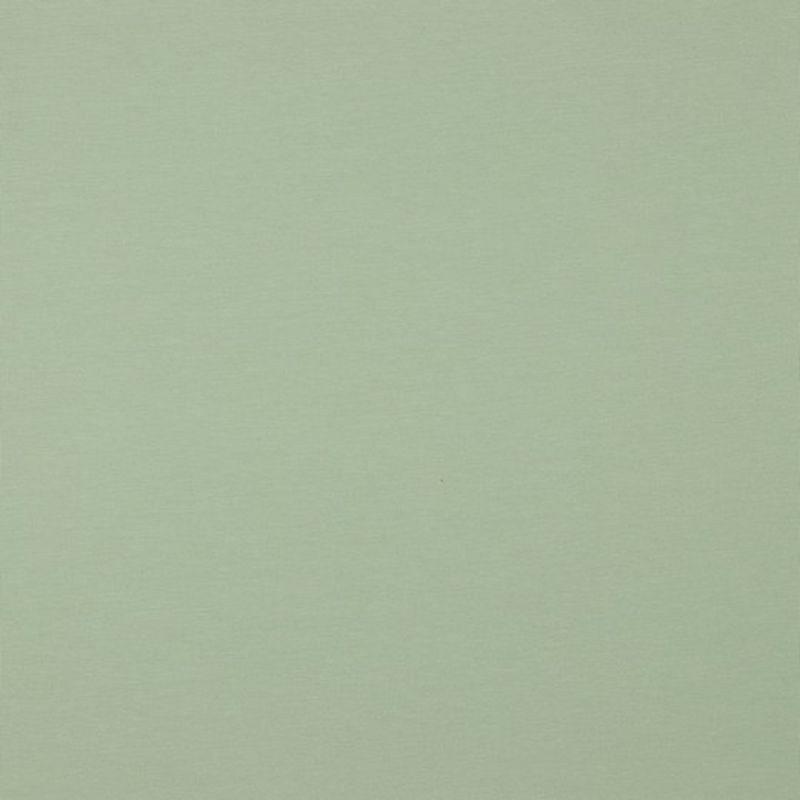 Bio Jersey Uni Hellgrün 15