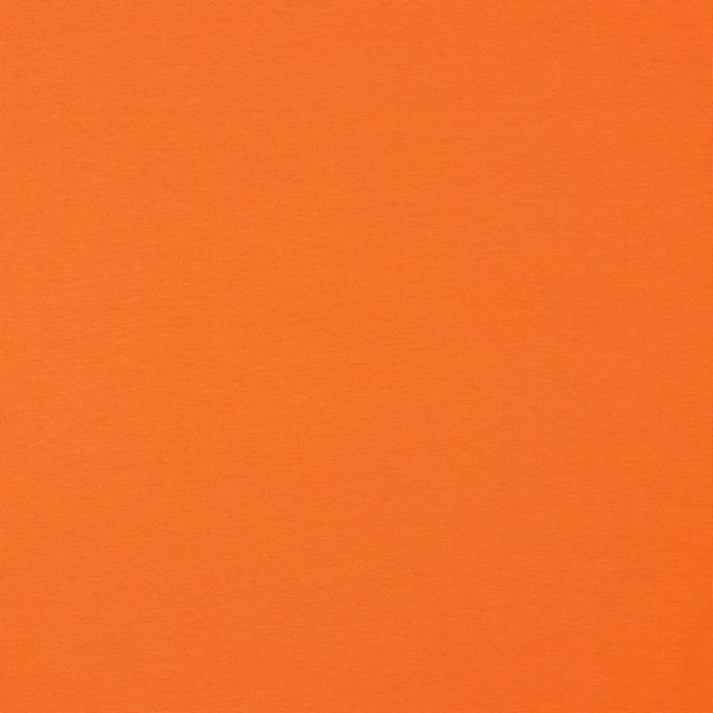 Bio Jersey Uni Orange 24