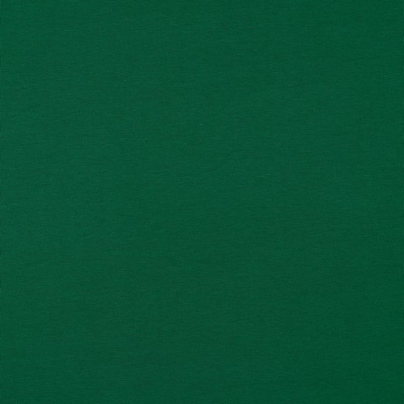 Bio Jersey Uni Grün 32