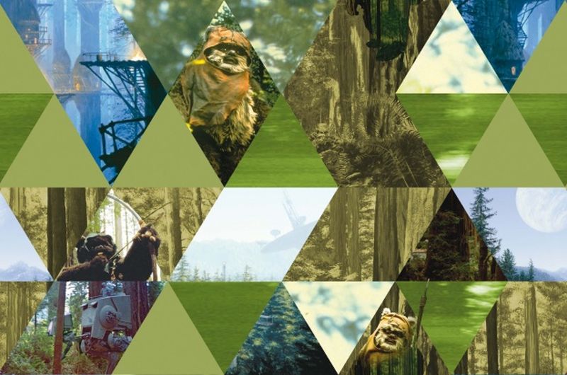 Baumwolle Star Wars Ewoks