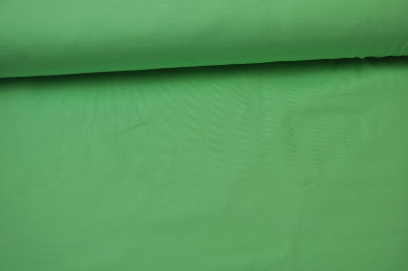 Winter Sweat uni hellmint 319