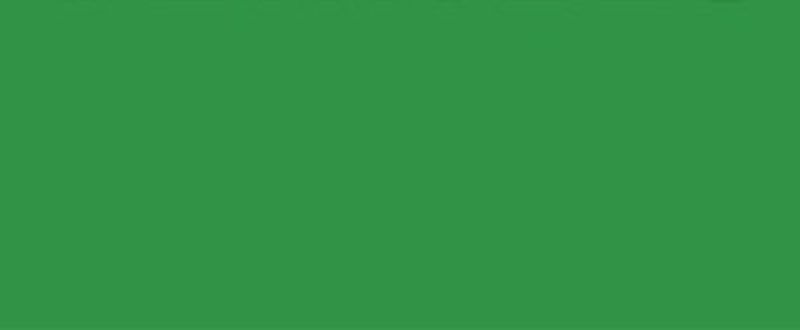 Baumwolle Uni Light Green