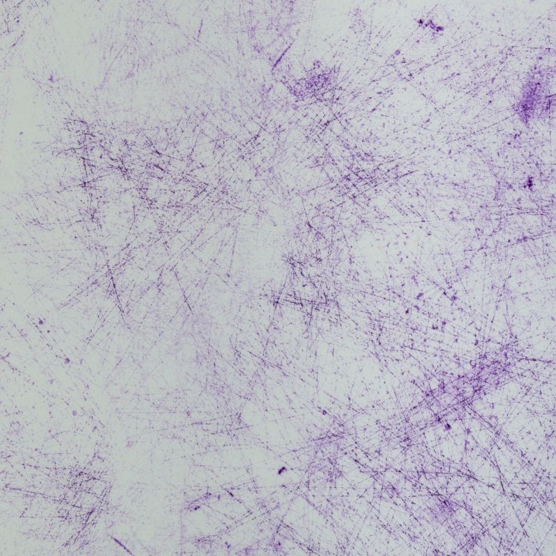 Jersey Breeze by Thorsten Berger Weiß/Lila