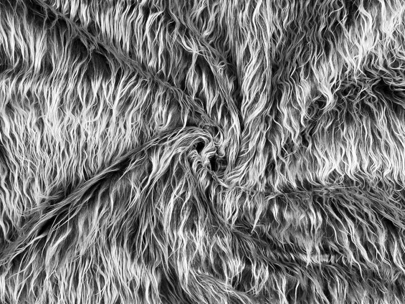 Langhaarfell Grau/Weiß