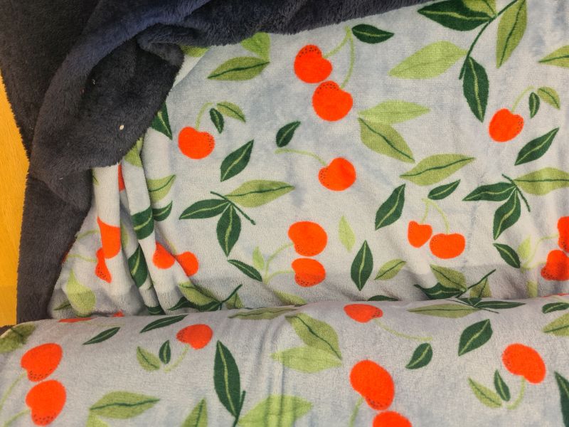 Mikrofleece Kirsche Blau Grün