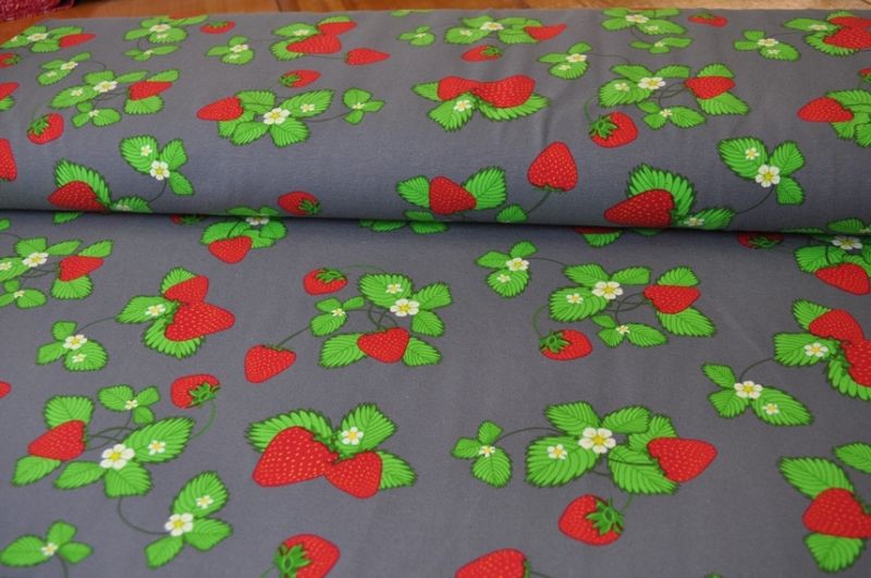 Jersey Dapper Erdbeeren groß grau