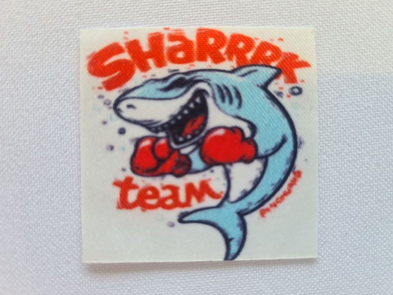 Applikation/Bügelbild Scharrrk Team