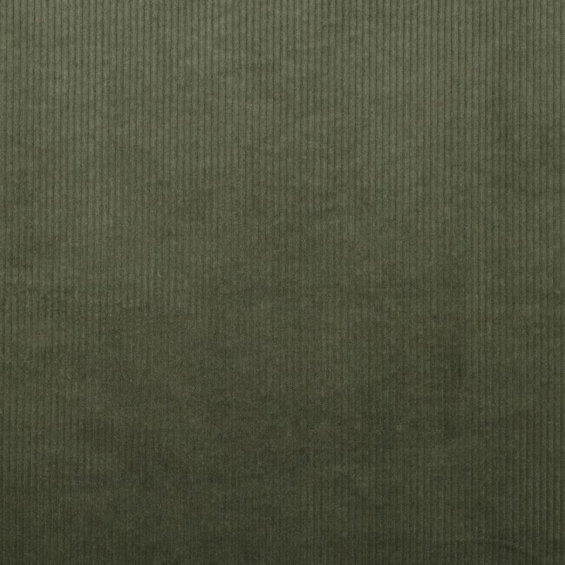 Cord Corduroy gewaschen 6W Pickle