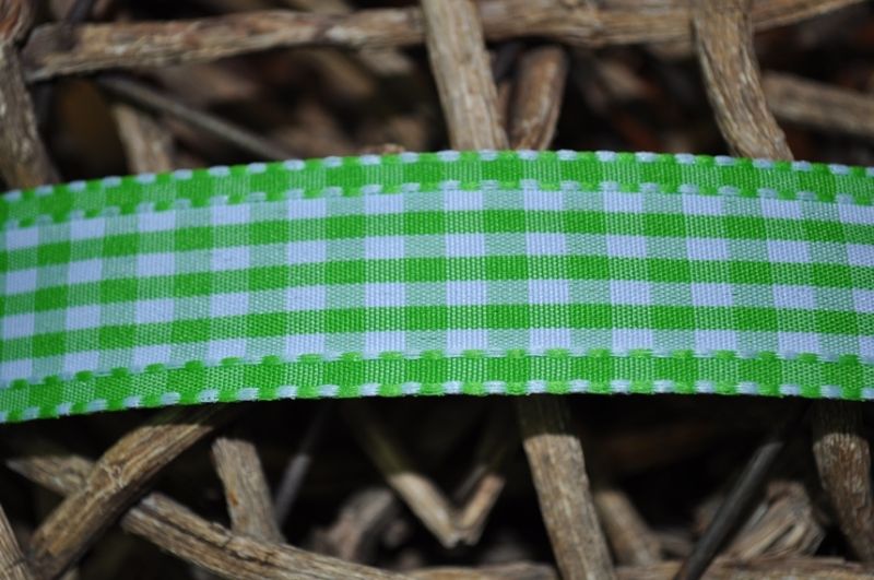 Vichy Karo Band Breit grün