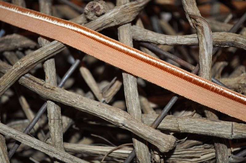 Elastisches Paspelband haut Glänzend/matt