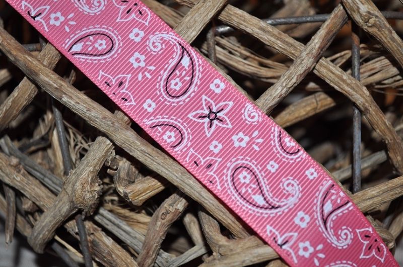 Ripsband Paisley breit pink