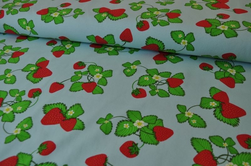 Jersey Dapper Erdbeeren groß hellblau