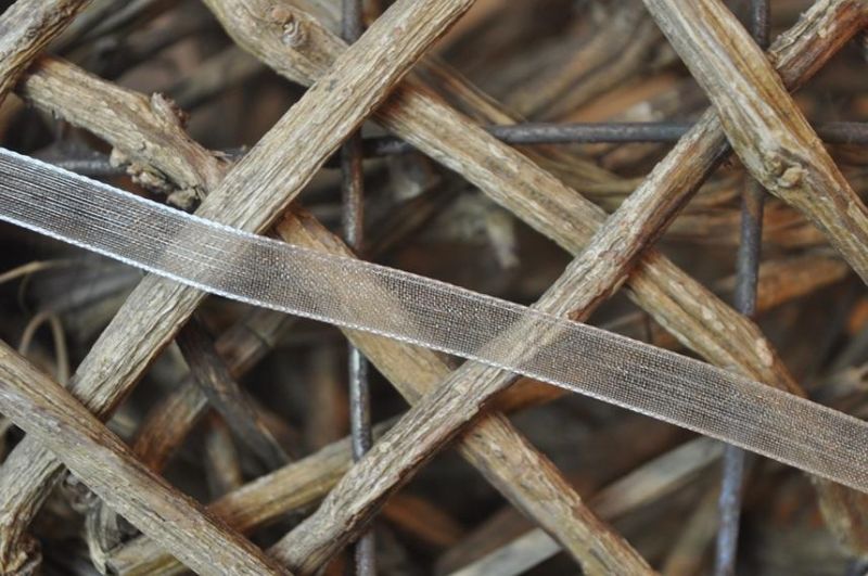 Organzaband 10mm creme