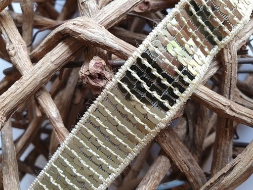Borte mit Pailletten gold 22mm