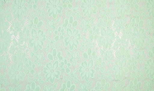 Spitzenstoff Eva Mint 22