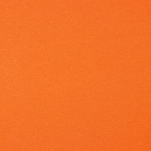 Bio Jersey Uni Orange 24