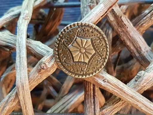 Jeansknopf 19mm gold 8
