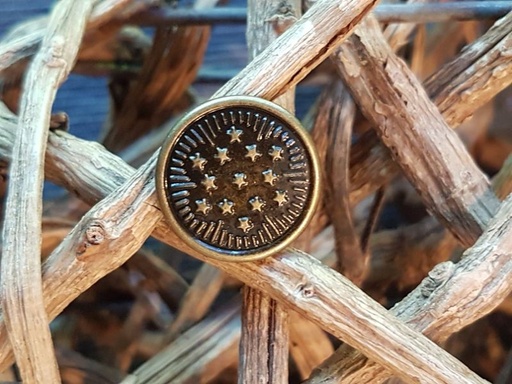 Jeansknopf 17mm gold 8