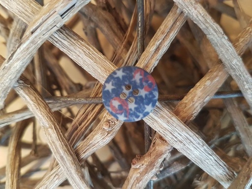 Knopf polyester Vintage Stern 15mm