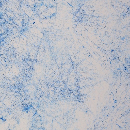 Jersey Breeze by Thorsten Berger Weiß/Blau