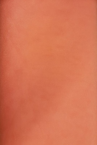 Feiner Tüll uni salmon 30