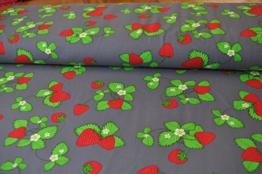 Jersey Dapper Erdbeeren groß grau