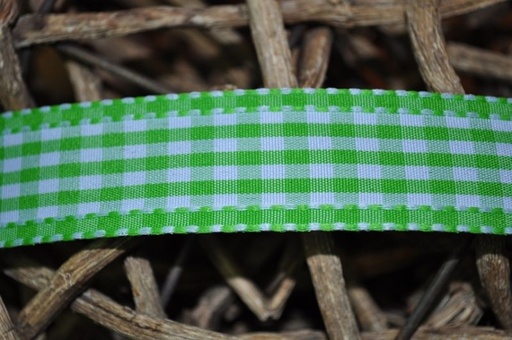 Vichy Karo Band Breit grün