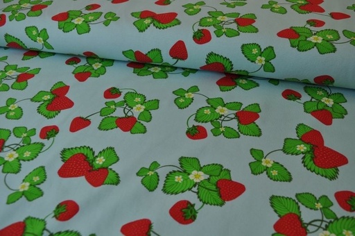 Jersey Dapper Erdbeeren groß hellblau